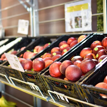 Club Del Sole Spina Family Collection Lido di Spina