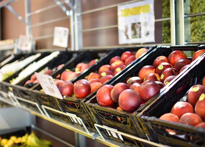 Club Del Sole Spina Family Collection 丽都斯皮纳