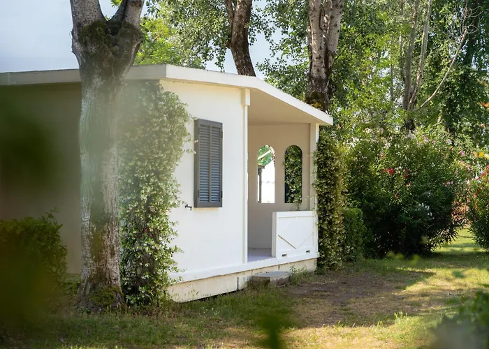 Club Del Sole Spina Family Collection リド・ディ・スピーナ